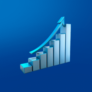 Somali Language and Culture for Leadership